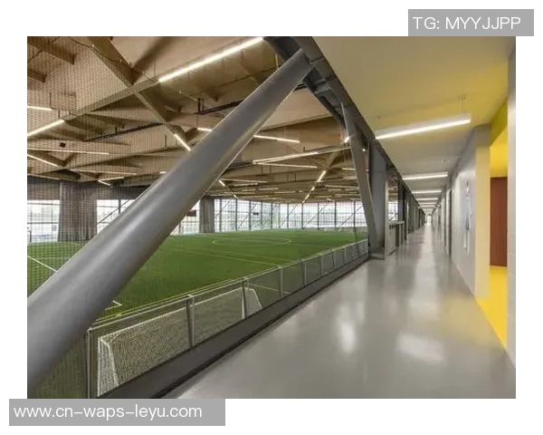 室内足球场材料选择指南与应用分析助你打造完美运动空间